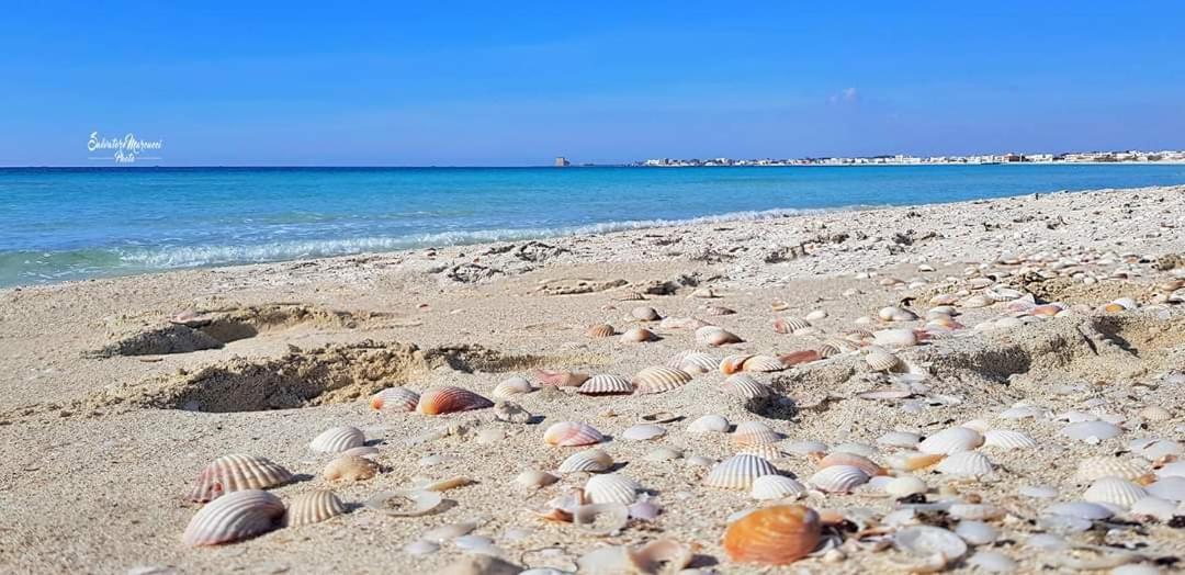 Masseria La Lizza - Ospitalita Rurale Lecce Ngoại thất bức ảnh