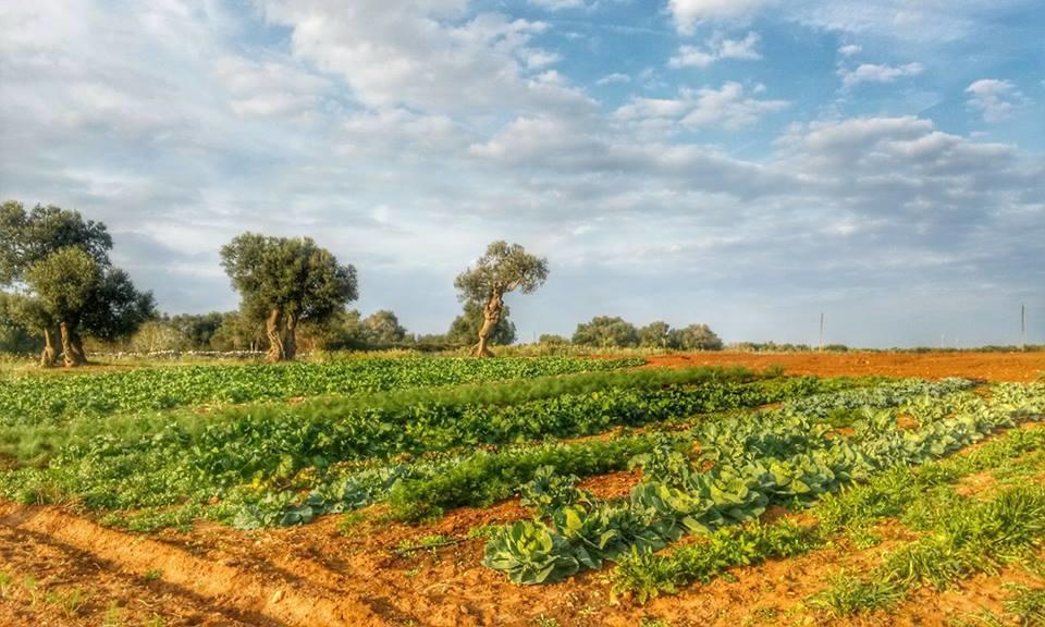 Masseria La Lizza - Ospitalita Rurale Lecce Ngoại thất bức ảnh