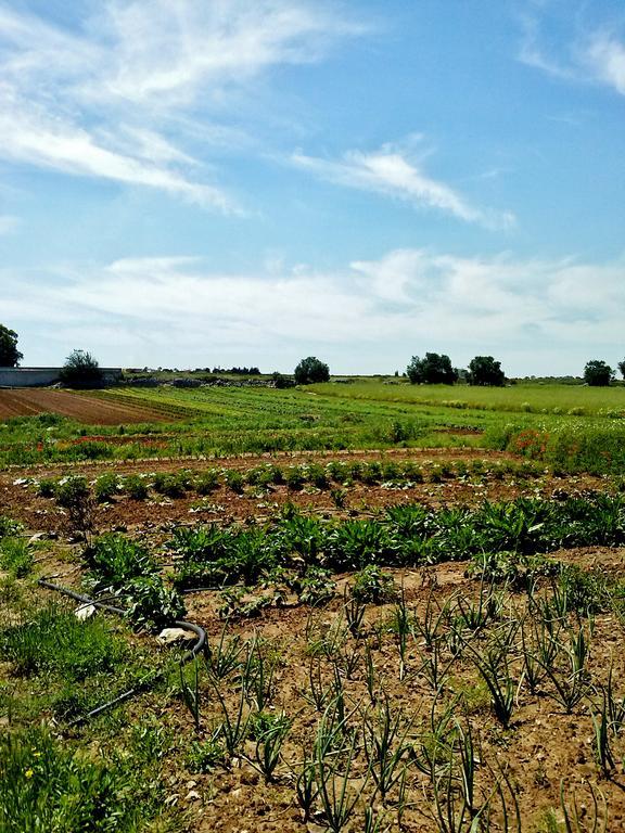 Masseria La Lizza - Ospitalita Rurale Lecce Ngoại thất bức ảnh